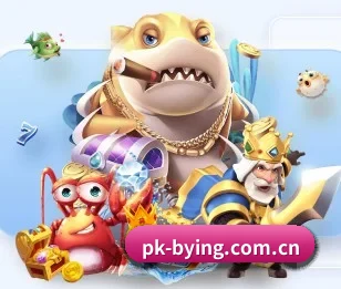 pk-bying.com.cn的故事
